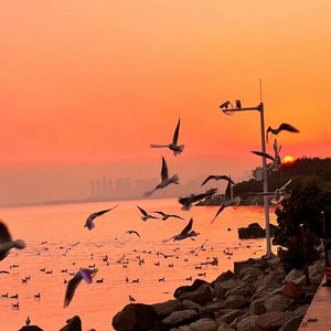 小🐔🐔伸进🈲🔞🔞猛撞
