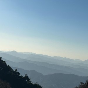 小🐔🐔伸进🈲🔞🔞猛撞
